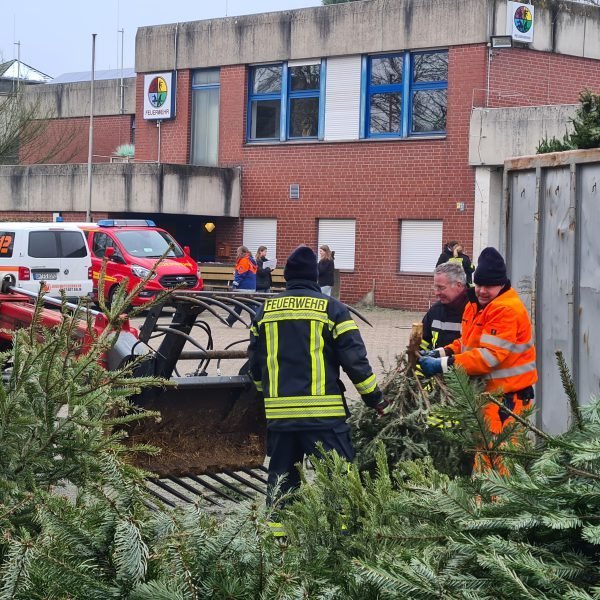 Weihnachtsbaum-Sammelaktion 2026 in Bork und Hassel