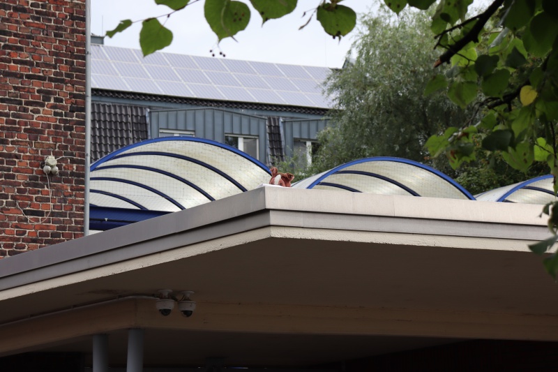 Berufsfeuerwehrtag der Jugendfeuerwehr Selm 2023