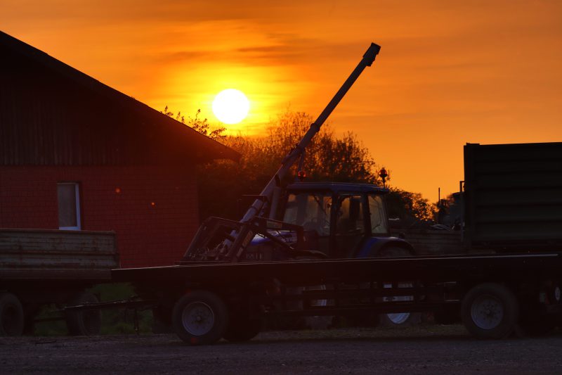 Übung: Unklare Rauchentwicklung auf dem Hof